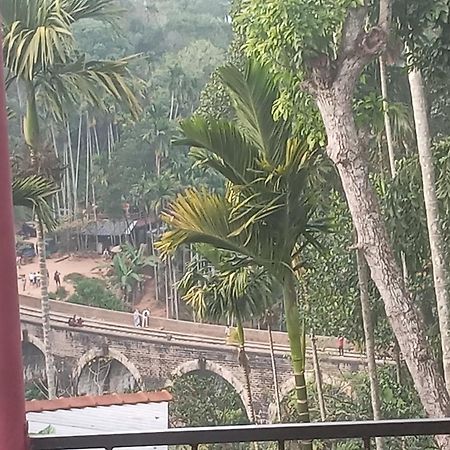 Nine Arch Araliya Homestay 埃拉 外观 照片