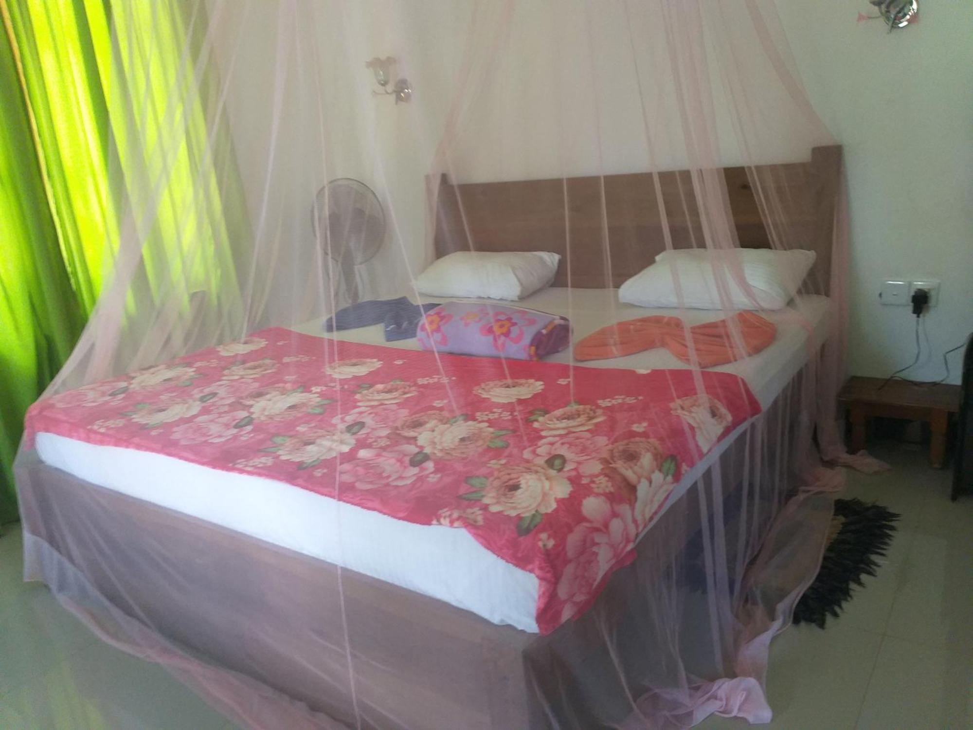 Nine Arch Araliya Homestay 埃拉 外观 照片