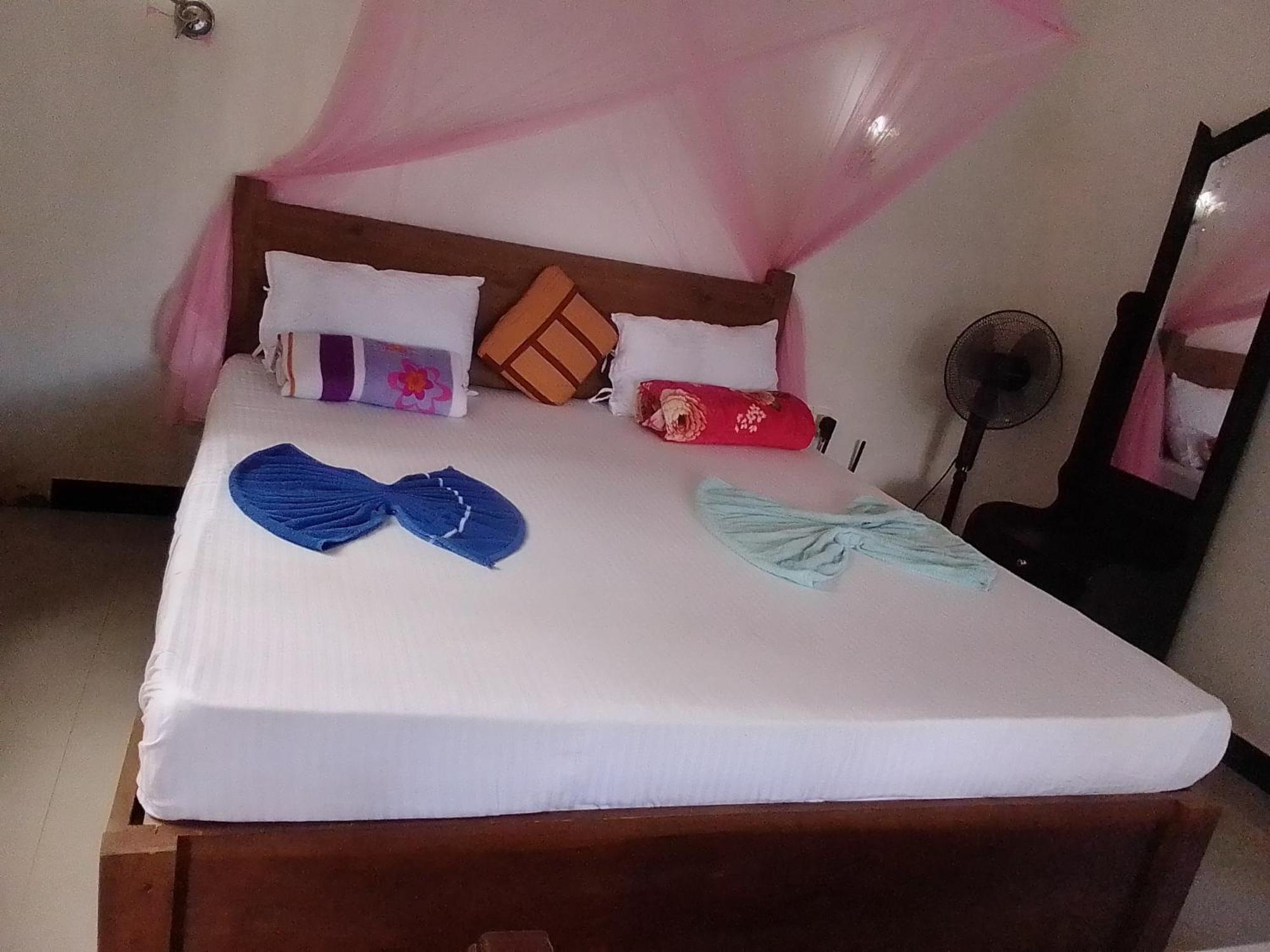 Nine Arch Araliya Homestay 埃拉 外观 照片
