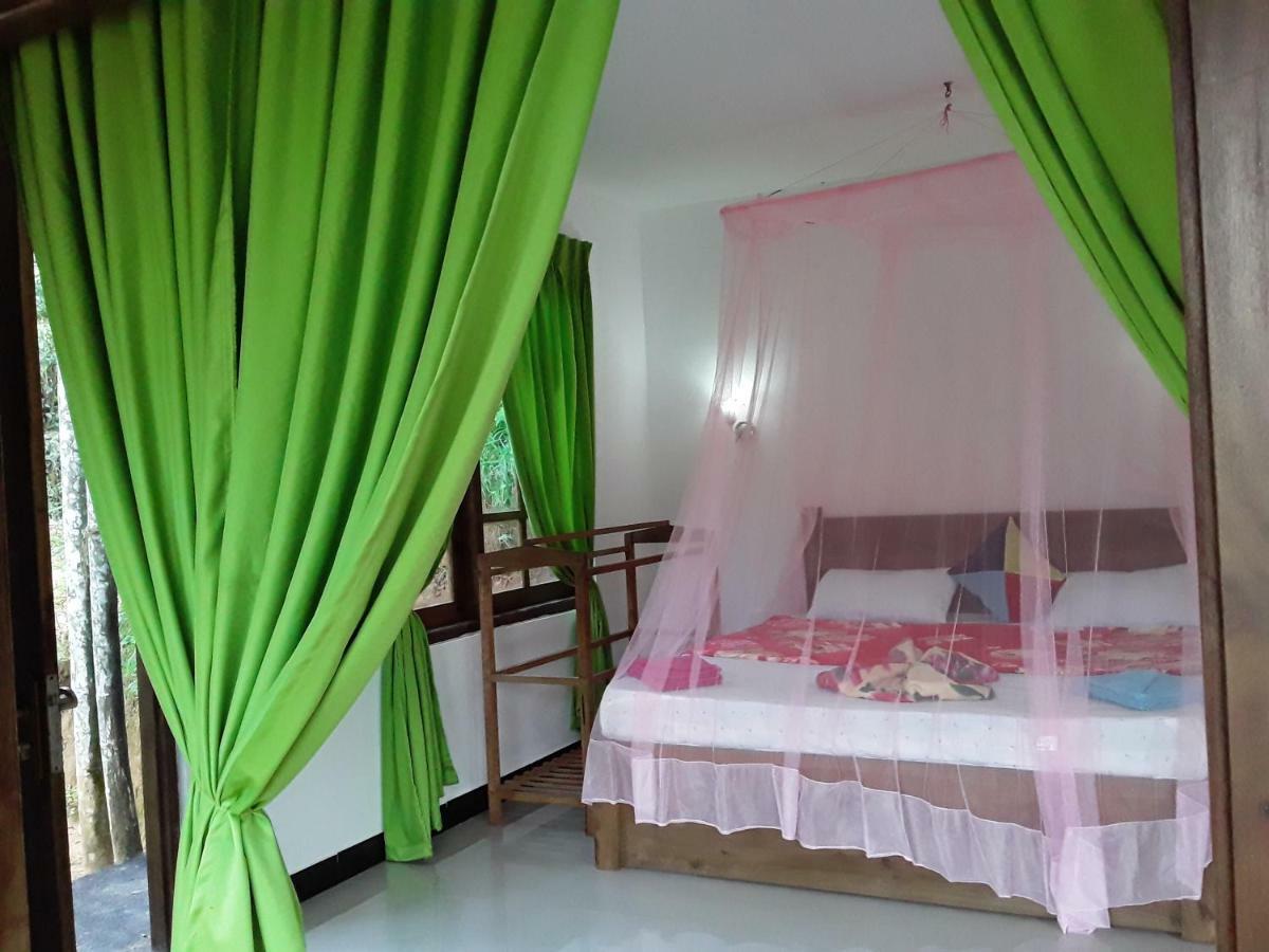 Nine Arch Araliya Homestay 埃拉 外观 照片